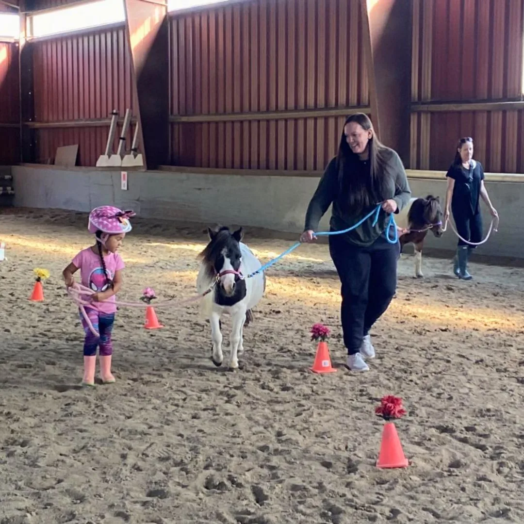 Children meeting miniature horses at our Blackstock facility