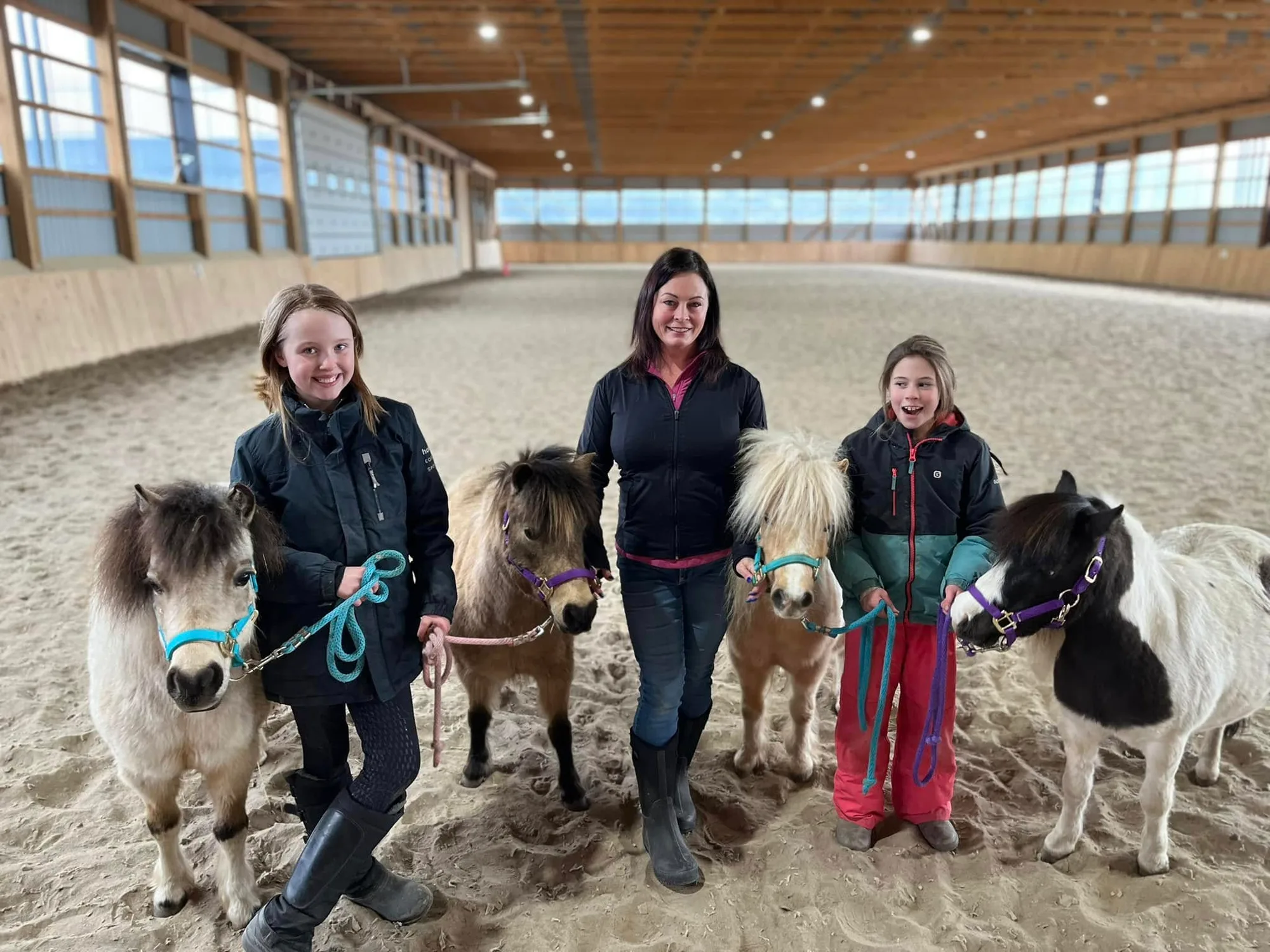 Mini horse meeting birthday guests