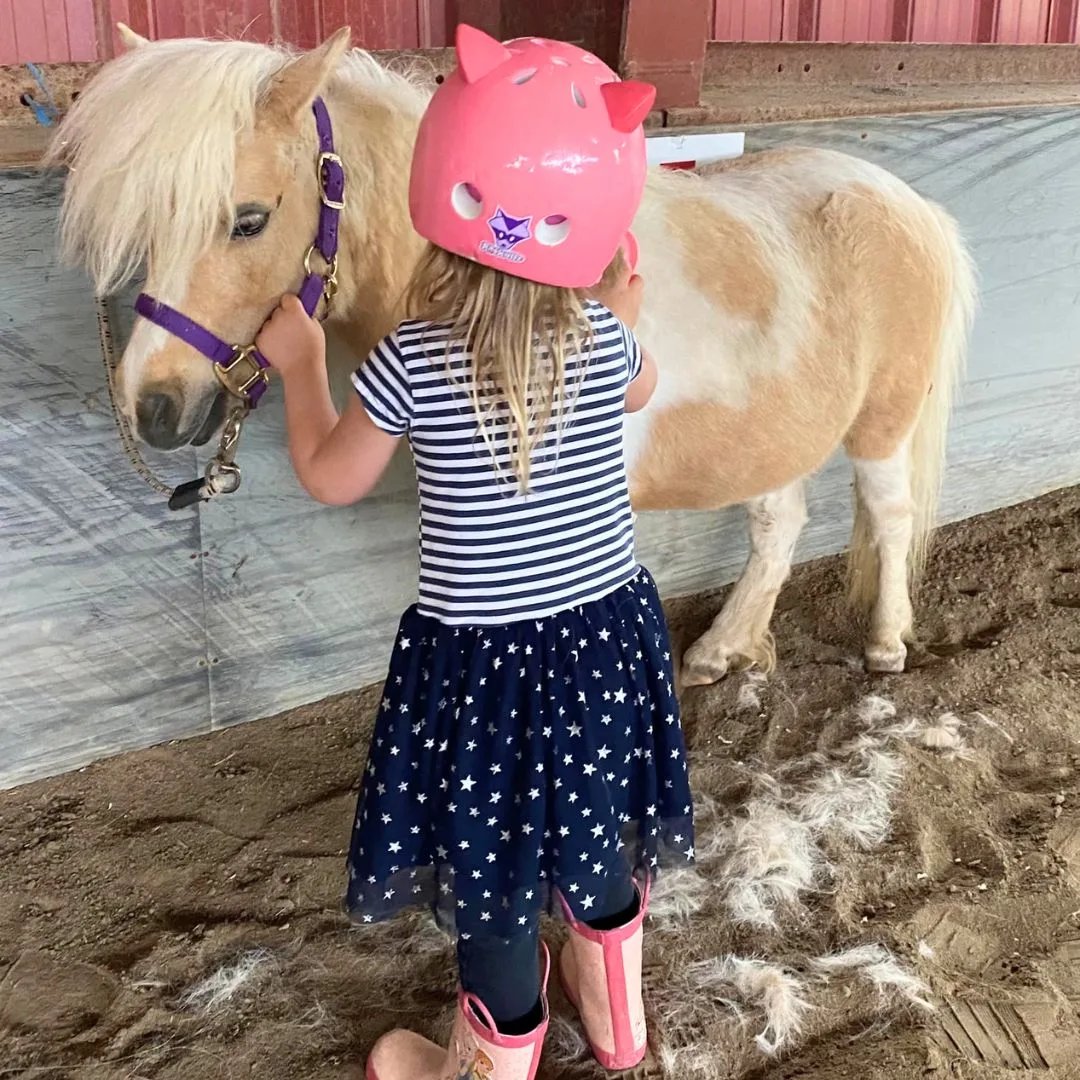 Mobile Pony Parties