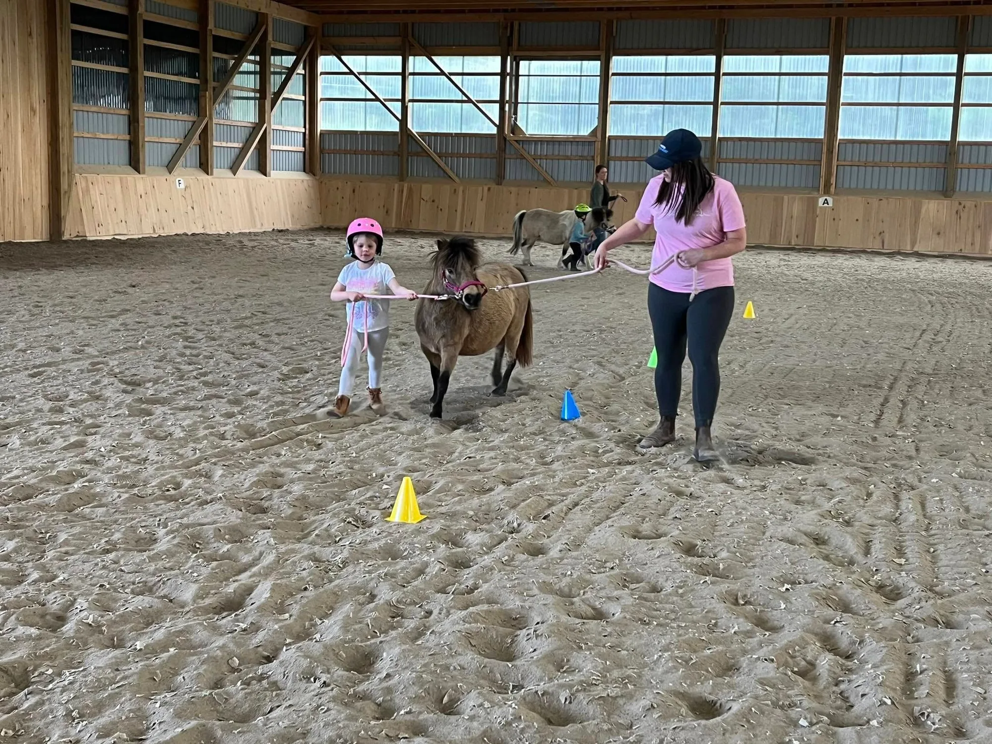 Mobile Pony Parties