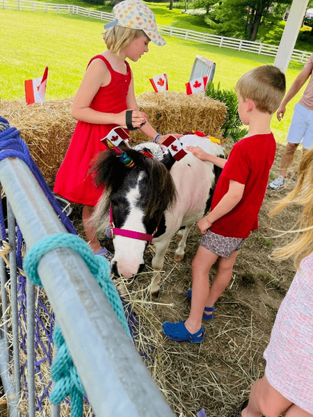 Child smiling beside a miniature horse