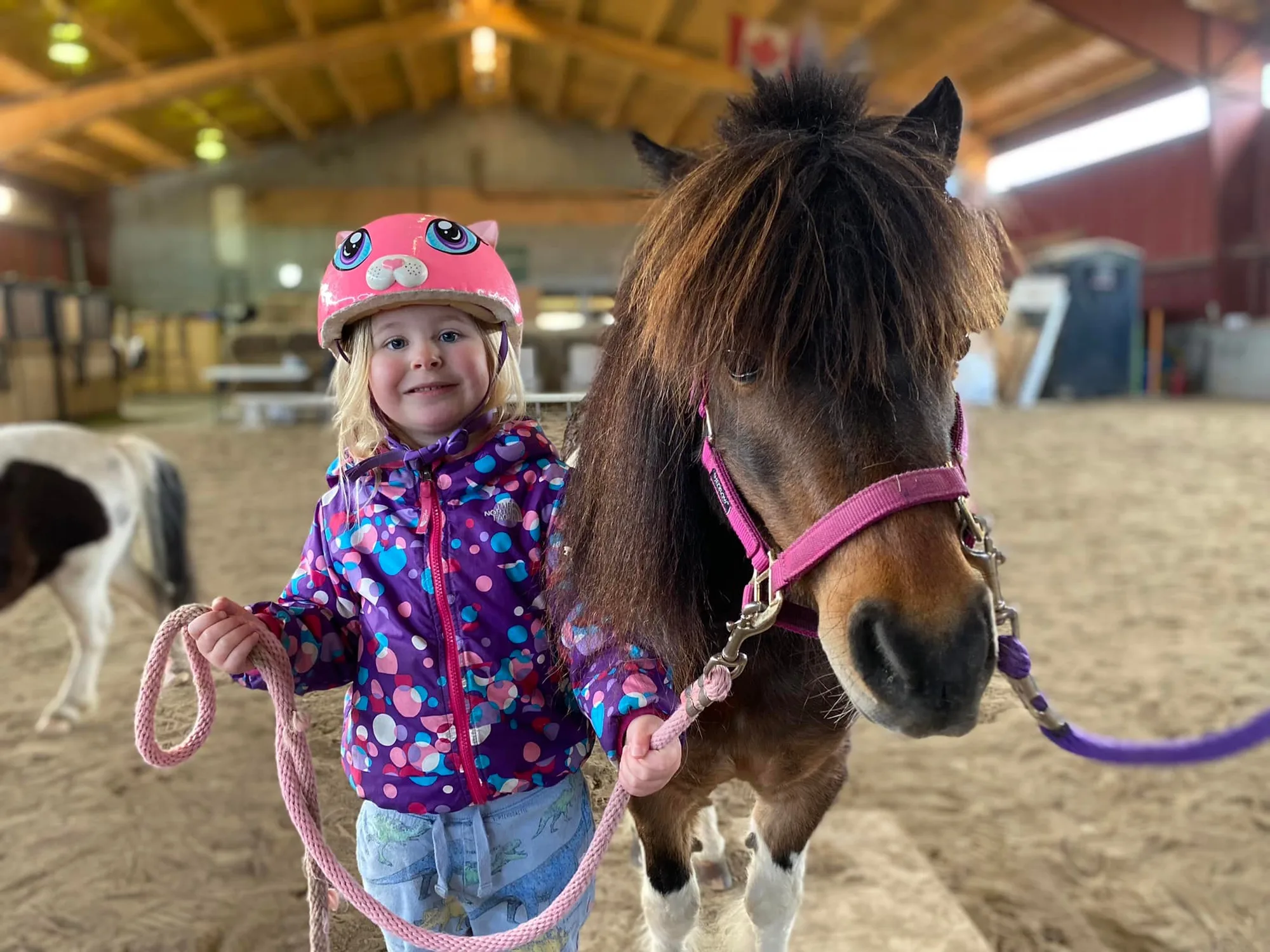Pony petting zoo setup at a large event