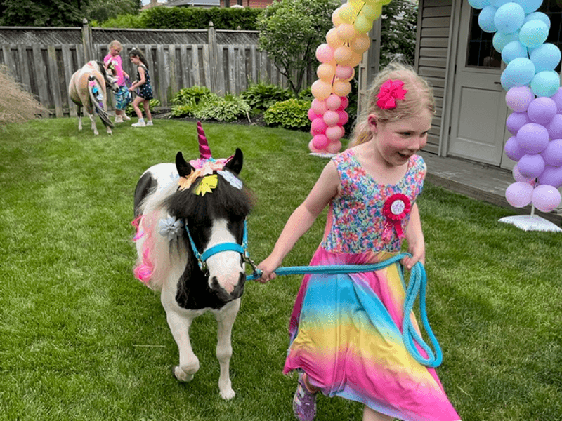 Kids birthday party with miniature horses
