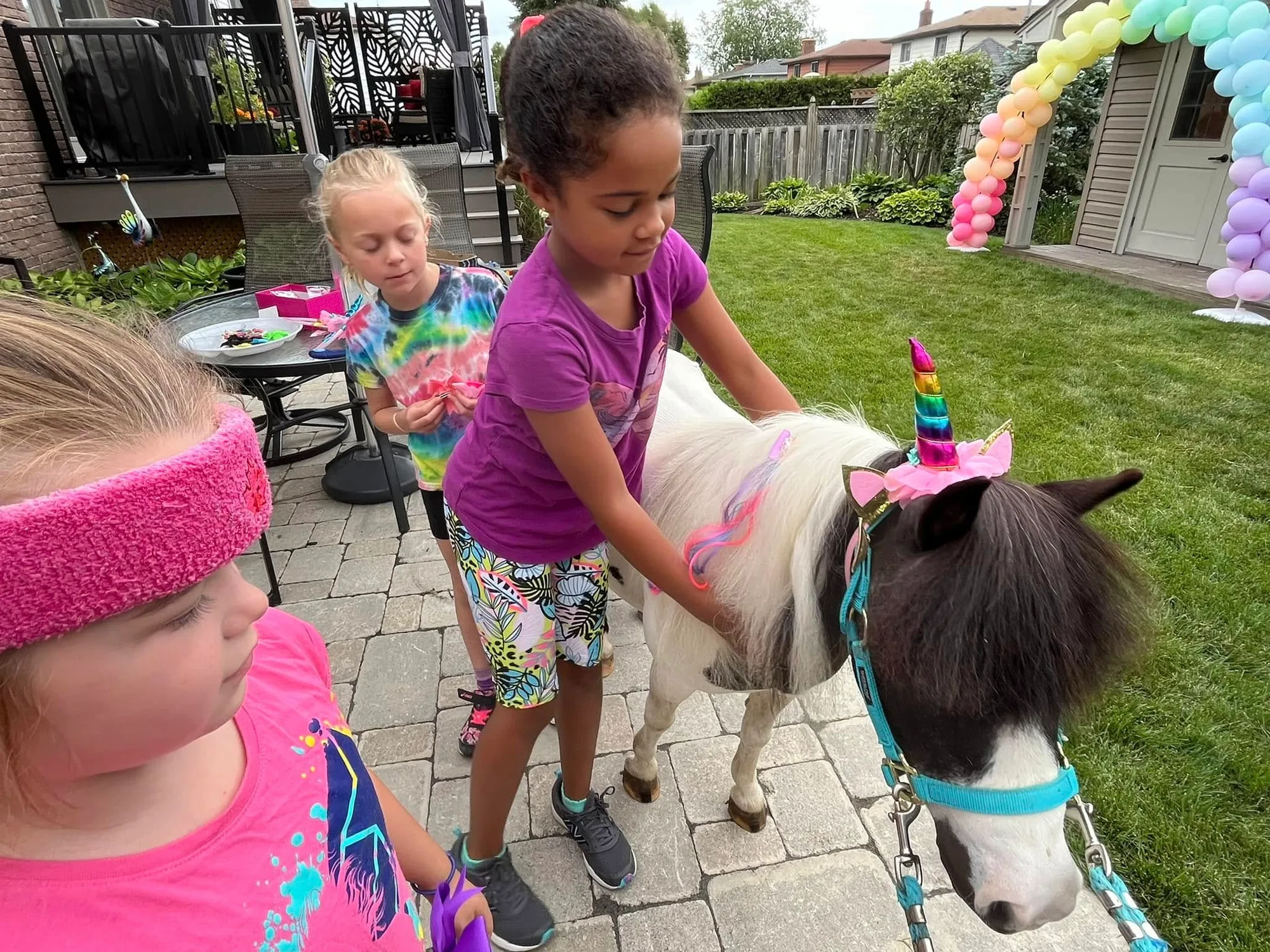 Party setup with two miniature horses