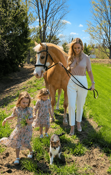 Mini horse styled for a photo session
