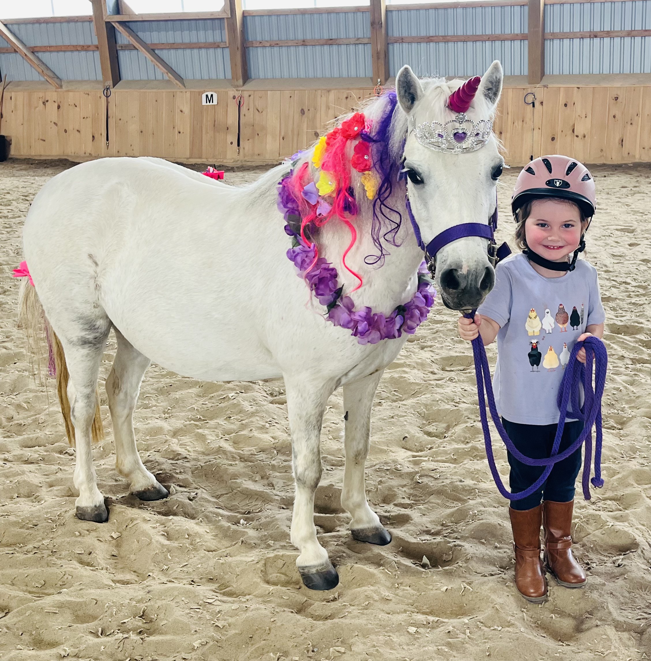 Demo Day activities in our indoor arena at Blackstock
