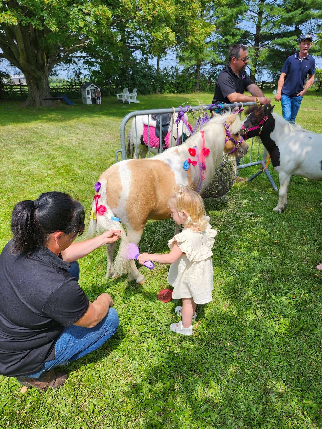 Child grooming a decorated miniature horse at a party