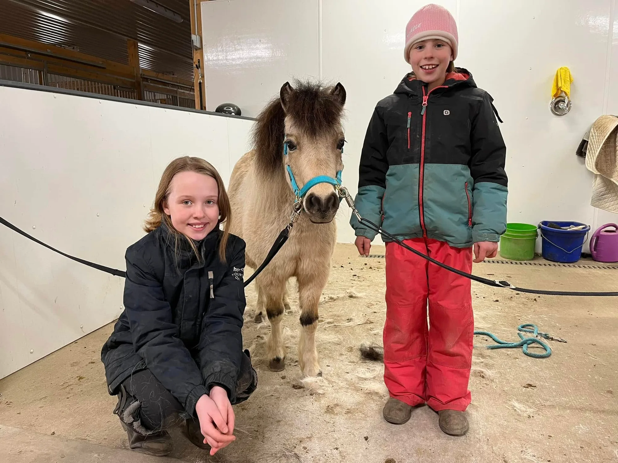 Kids grooming a mini at a party