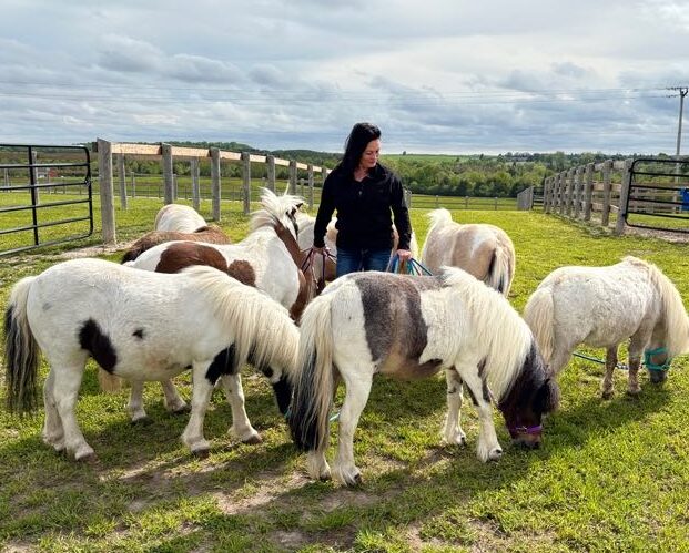 munchkins and minis wellness